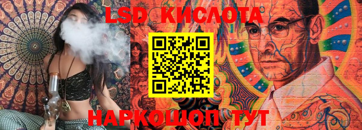Псилоцибиновые грибы Новочебоксарск