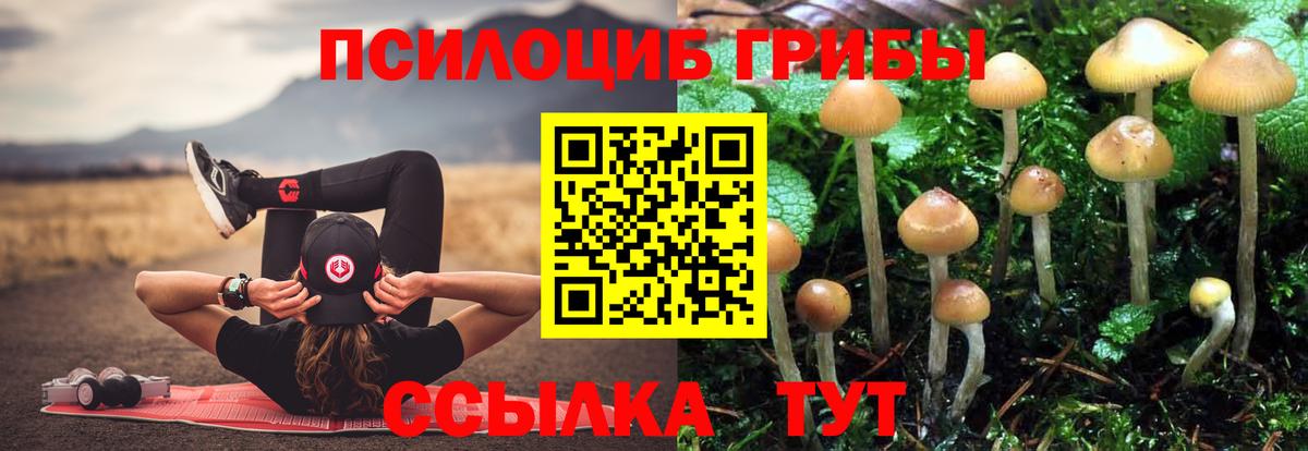 Галлюциногенные грибы GOLDEN TEACHER  что такое наркотик  Новочебоксарск  Вход с VPN 